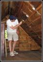 Removing Knob & Tube wiring from the attic.