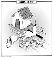 Property Taxes - Good Grief!