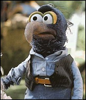 Gonzo the Great!