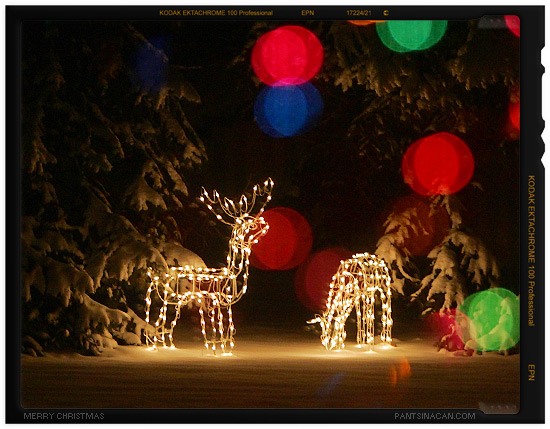 Fake Reindeer Lights