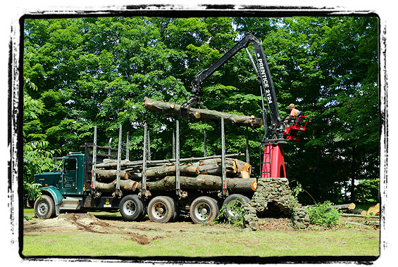 I think these are called logging trucks but I'm not an expert