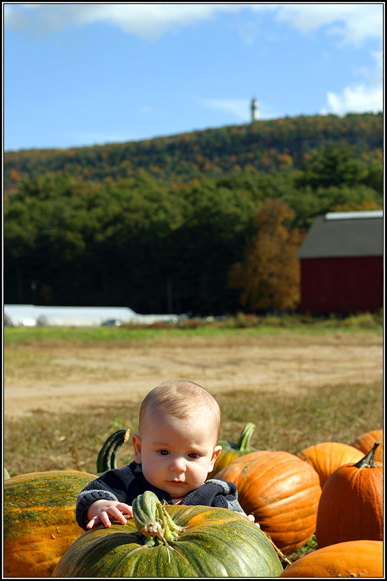 Duncan and the Great Pumpkin.